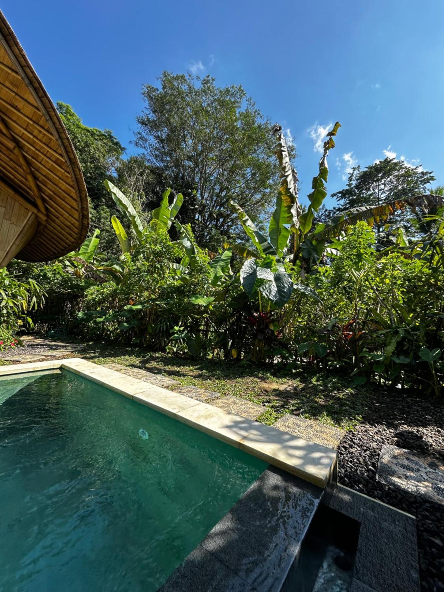 Bamboo House - Ecobreeze Villa Sidemen  Eksteriør billede