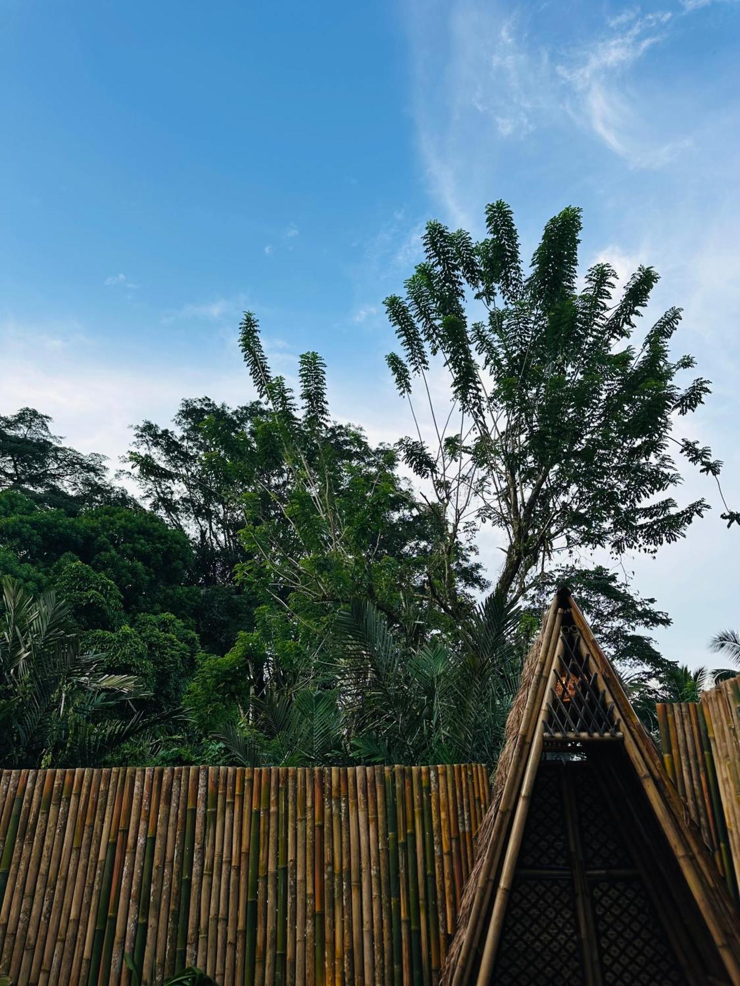 Bamboo House - Ecobreeze Villa Sidemen  Eksteriør billede